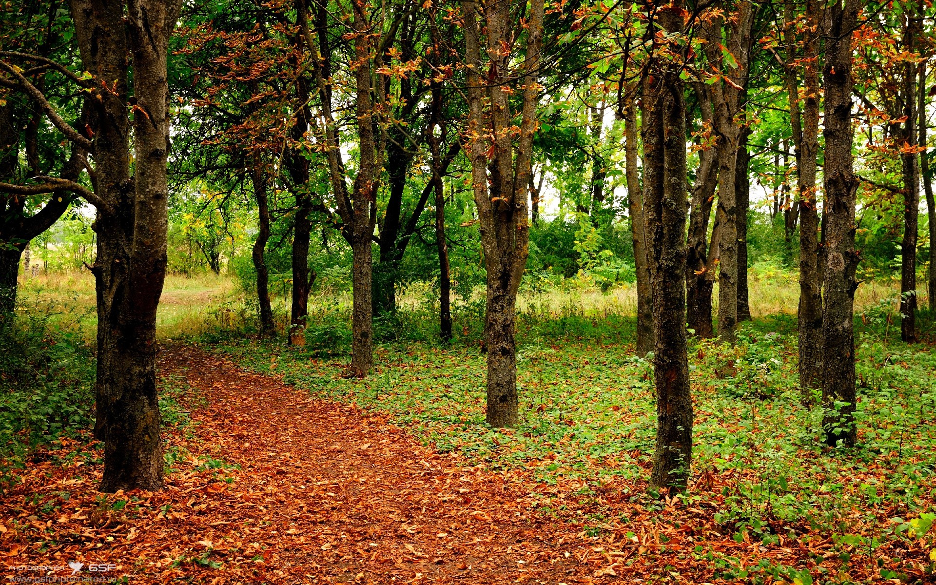 浙江队封锁独行侠，克莱成关键先生