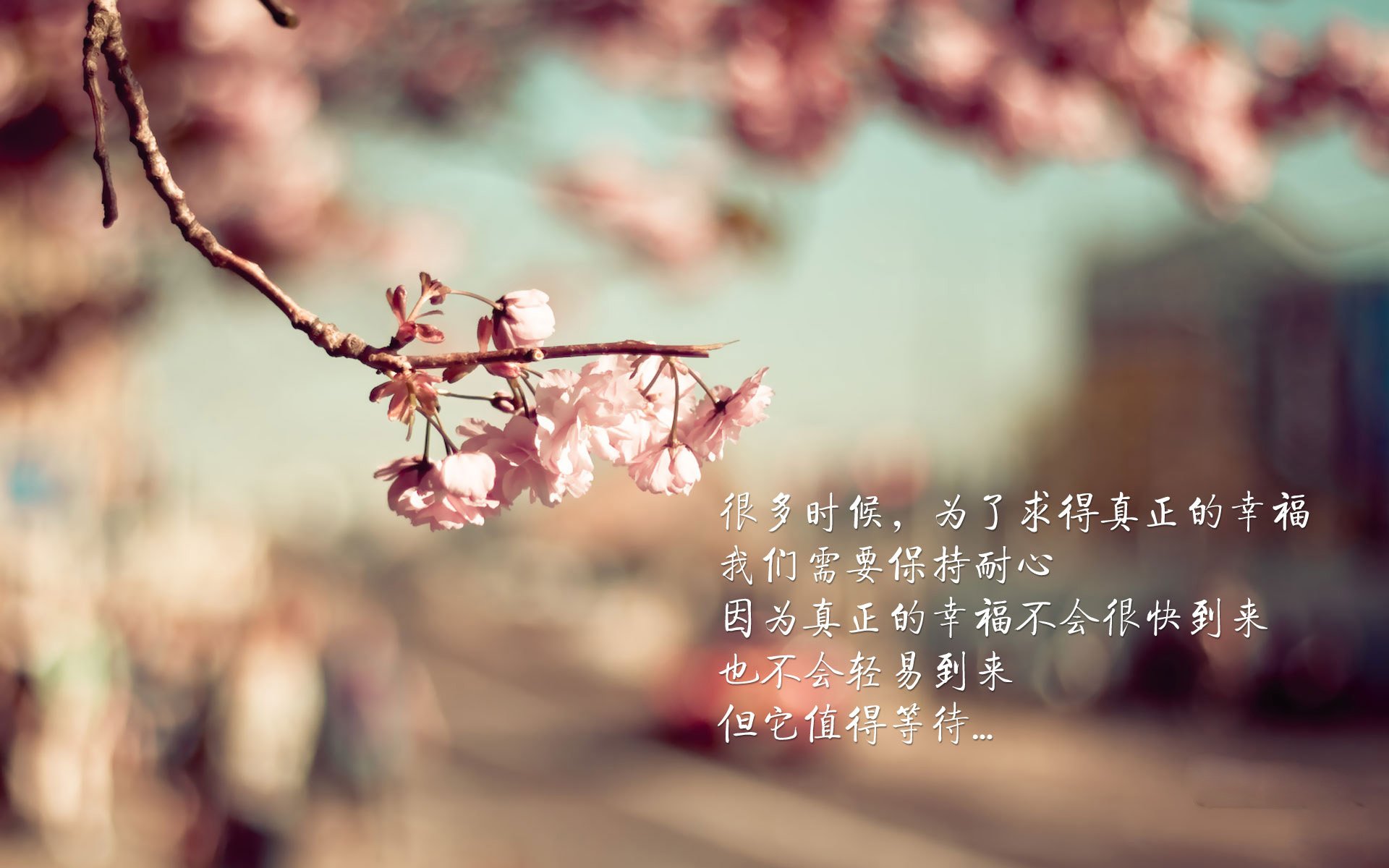 球场对决与国境封锁，NBA季后赛焦点战与哥伦比亚乌拉圭事件的竞争哲学