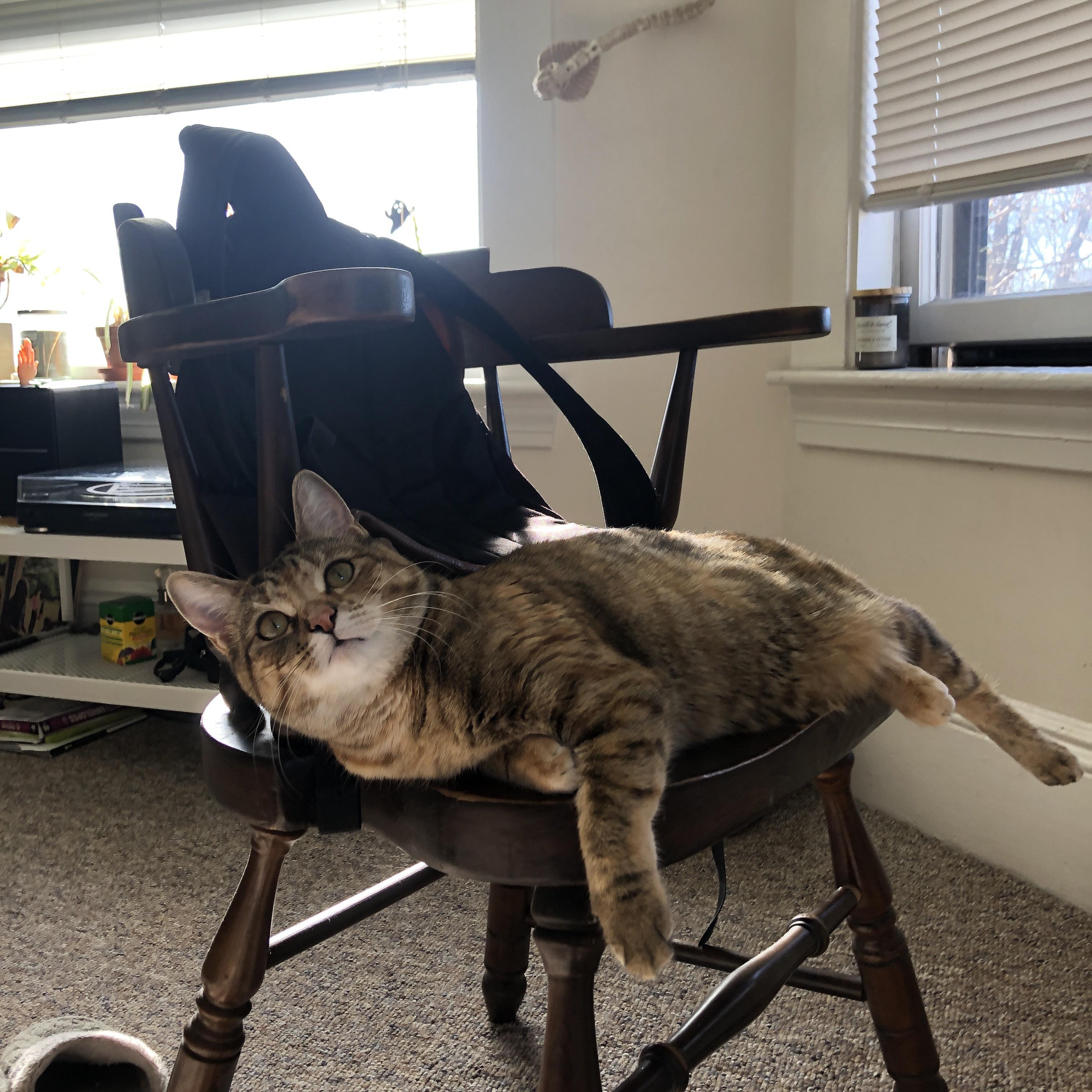 冷门之夜，厄韦多尔强势拿下葡萄牙，巴尔韦德统治全场