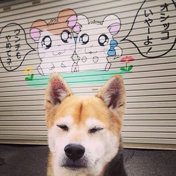 末节15分！马克西三分雨击溃雄鹿防线，绿军主场擒鹿迎三连胜