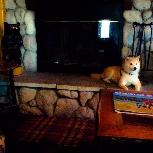 约基奇，三双里程碑征服掘金高原，雄鹿节奏魔法冰封热火烈焰