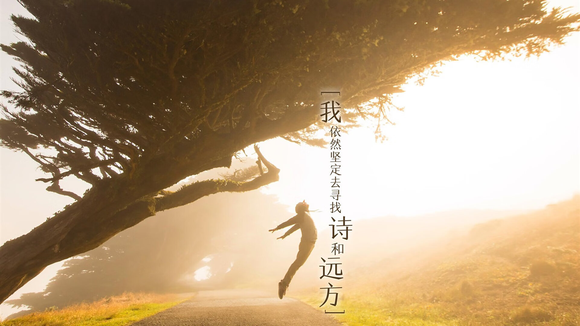 帕尔默奏响蓝军交响乐，土耳其战术织网窒息巴黎