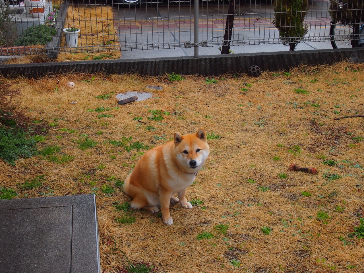 欧冠决赛之夜，当东契奇走上伯纳乌看台，他让悬念提前退场