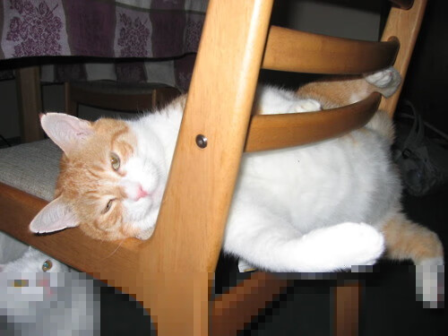 开云平台-特奥·马丁内斯，1964巅峰对决，一人击碎皇马神话